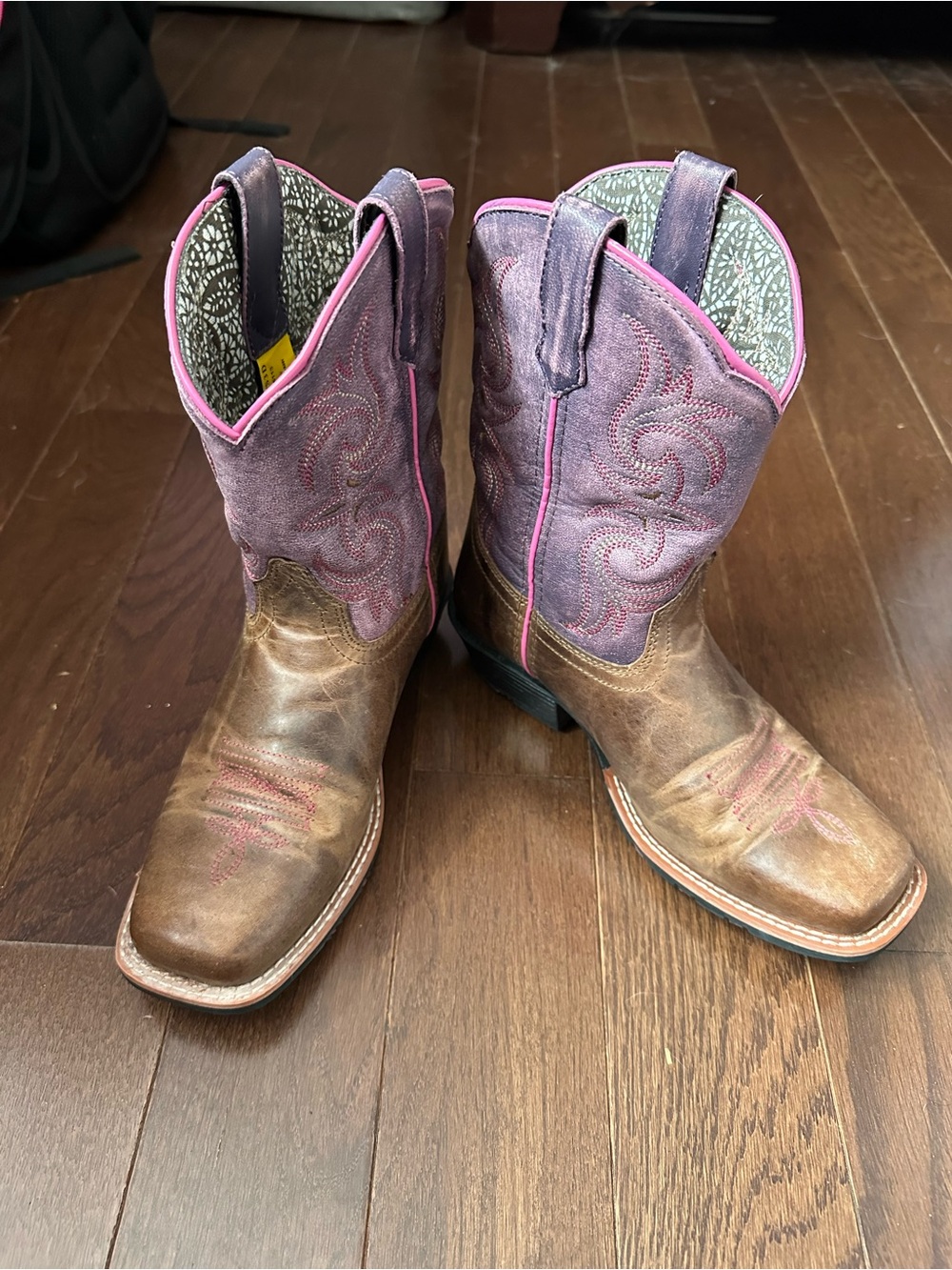 Dan Post Kids Brown Foot Purple Shaft Western Boots